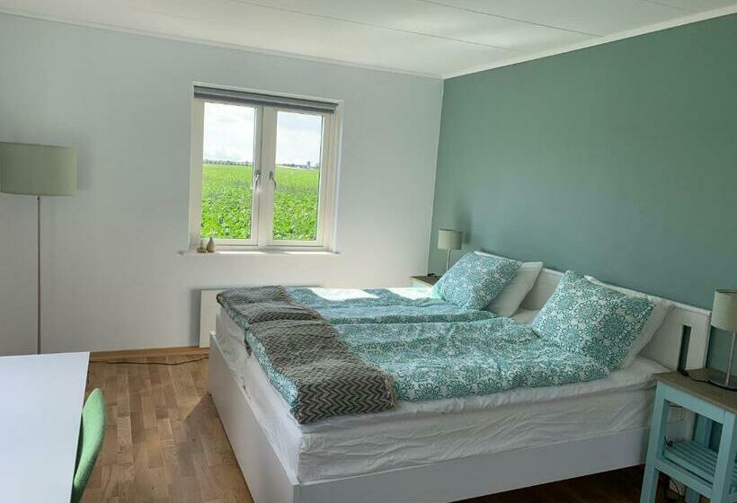 פנסיון Field View B&b