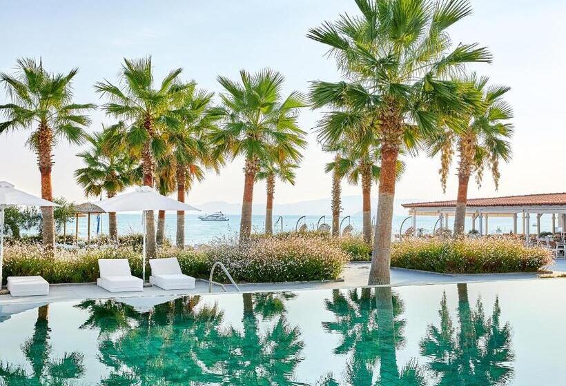 Отель Domes Noruz Kassandra, Halkidiki   Adults Only