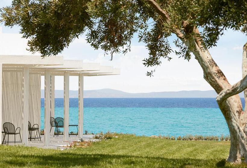 Отель Domes Noruz Kassandra, Halkidiki   Adults Only