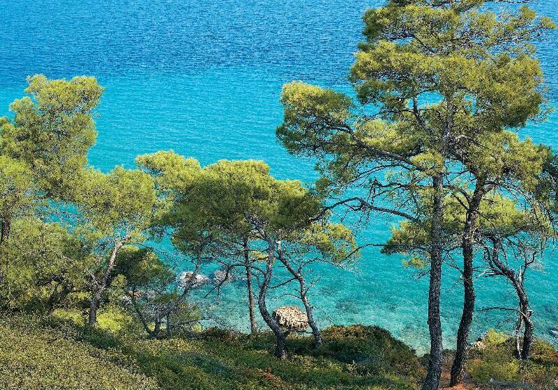 Отель Domes Noruz Kassandra, Halkidiki   Adults Only