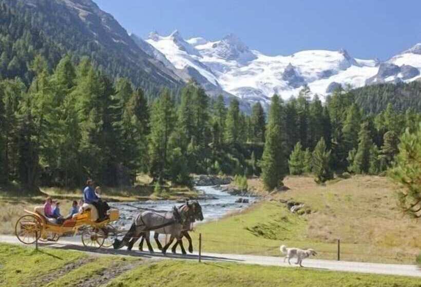 فندق Nira Alpina