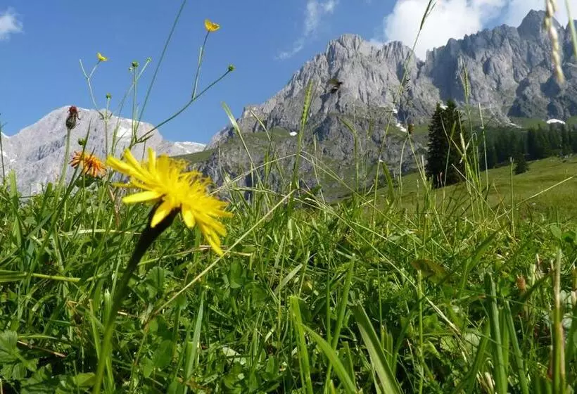 Wellnesshotel Mitterwirt