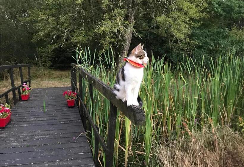 ベッドアンドブレックファースト Ferme Boisquillon