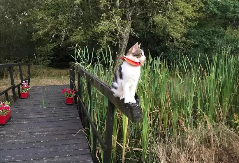 Aamiaismajoitus (B&B) Ferme Boisquillon