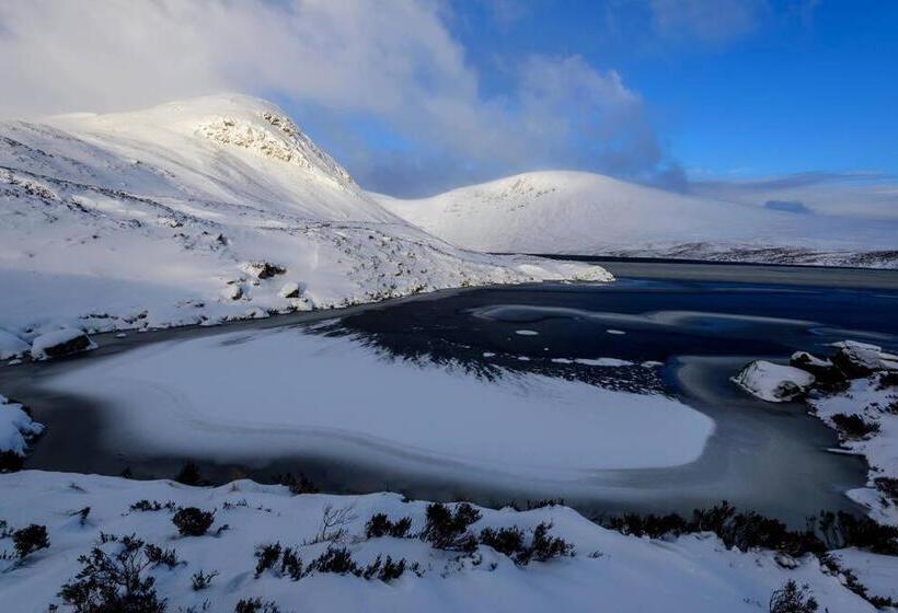 Bed and Breakfast Kirkview House