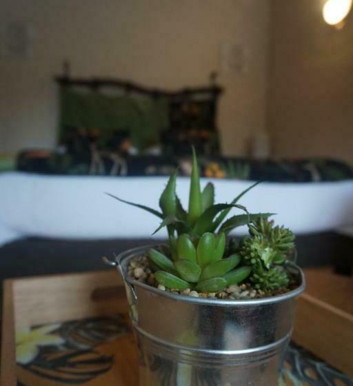 Bed and Breakfast Les Chambres D Aurore