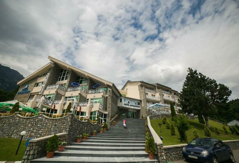 בית מלון כפרי Alexandros Busteni