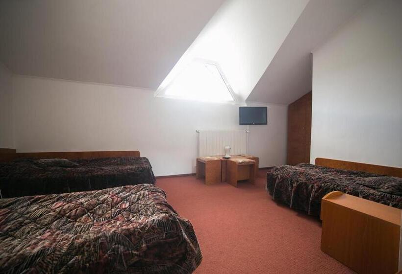 בית מלון כפרי Alexandros Busteni