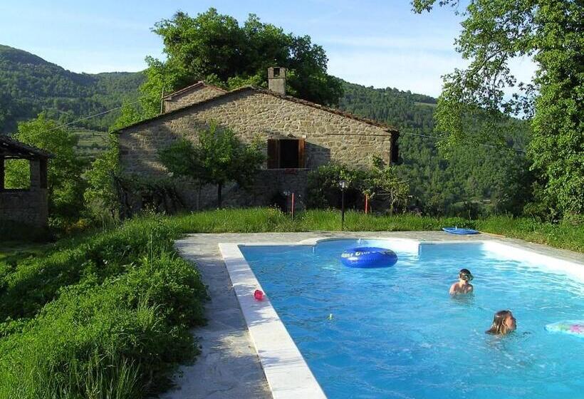 Отель Cerro Di Sopra Boerderij In Toscane Met Privé Zwembad