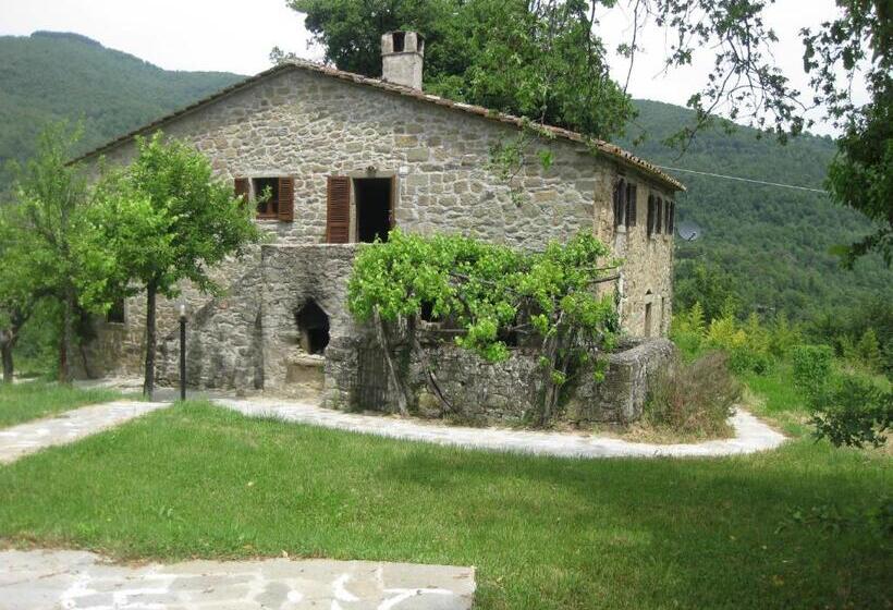 Отель Cerro Di Sopra Boerderij In Toscane Met Privé Zwembad