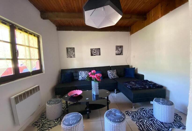 بنسيون La Cigale