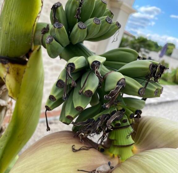 צימר Maison D Hôtes L Air D Antan