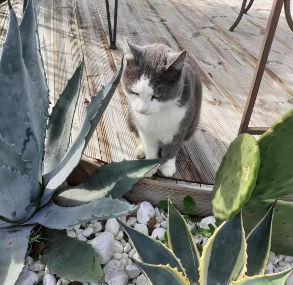 צימר Maison D Hôtes L Air D Antan