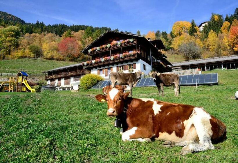 Bed and Breakfast Wegscheiderhof