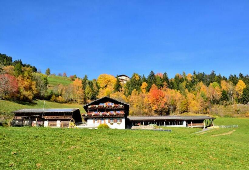 Bed and Breakfast Wegscheiderhof