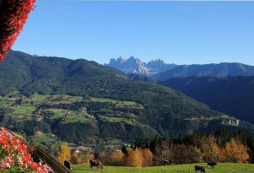 Bed and Breakfast Wegscheiderhof