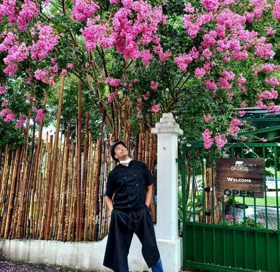 住宿加早餐  Locanda Ca Orsa