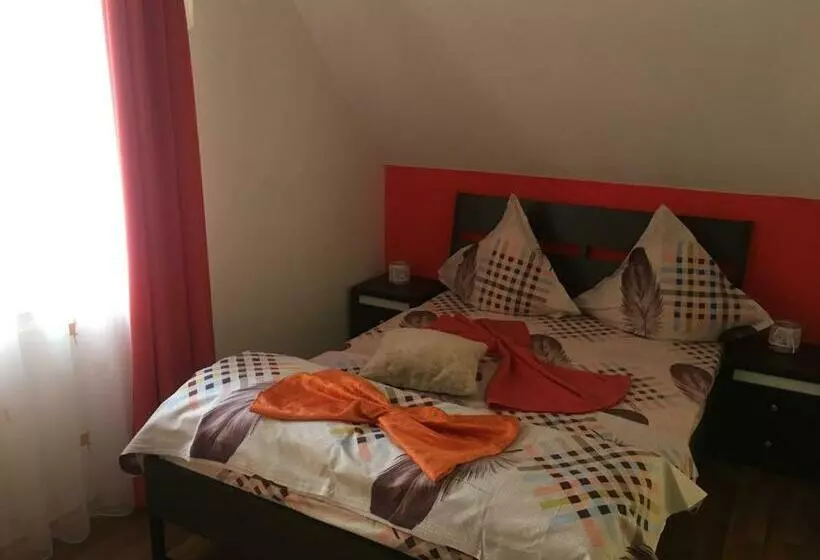 Pensiunea Darius Costinesti