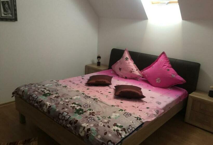 Pensiunea Darius Costinesti