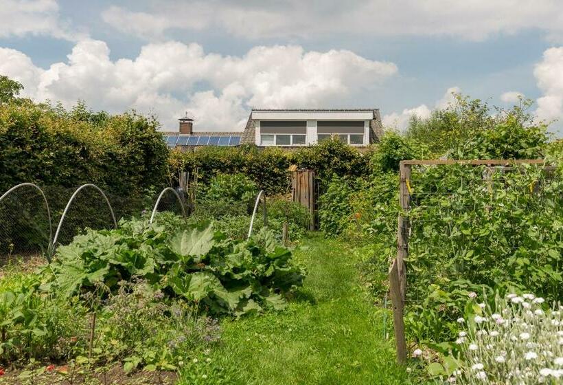 צימר De Nieuwe Warande