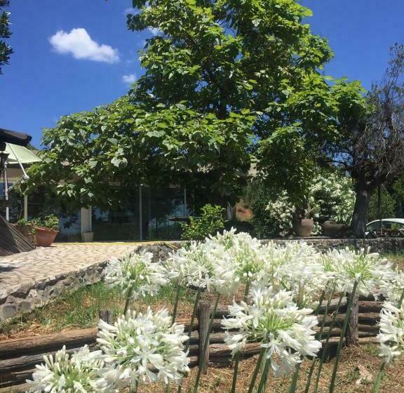 צימר I Congiunti