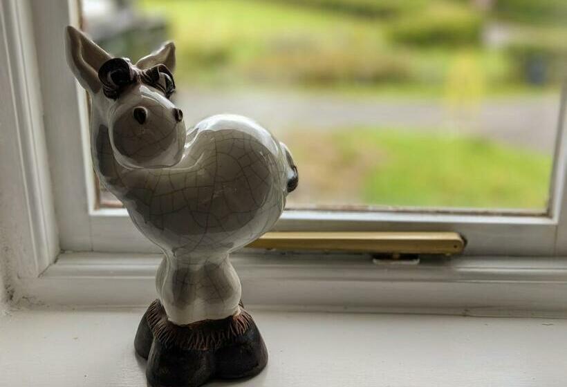 Aamiaismajoitus (B&B) Matt S Farm