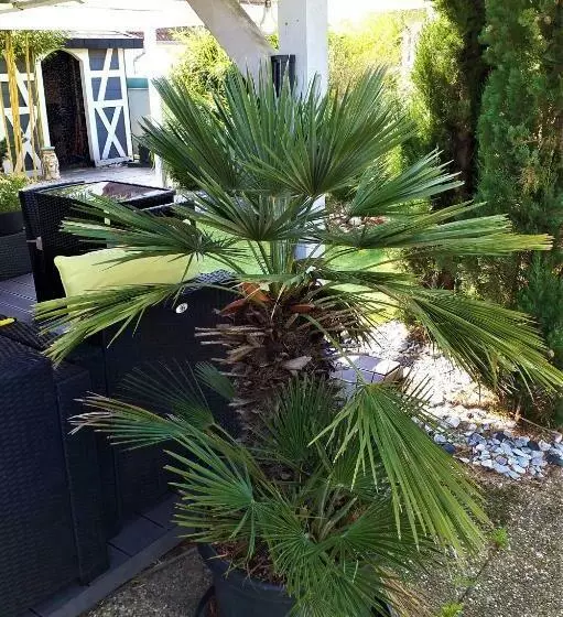 ベッドアンドブレックファースト Moderne Home Original Design