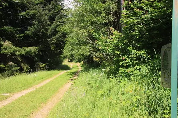 ホテル Notre Dame Des Monts