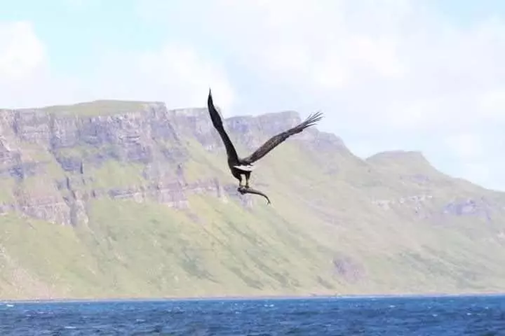 Majatalo Balmoral Skye