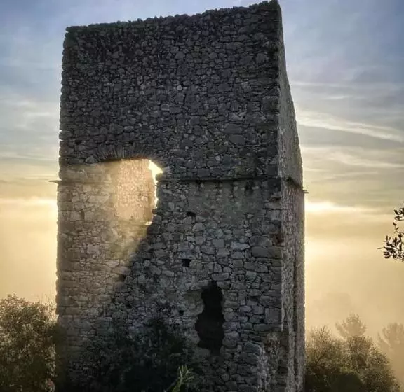 ベッドアンドブレックファースト Hostel Le Diablotin