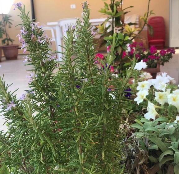 مبيت وإفطار Il Terrazzo Del Pittore