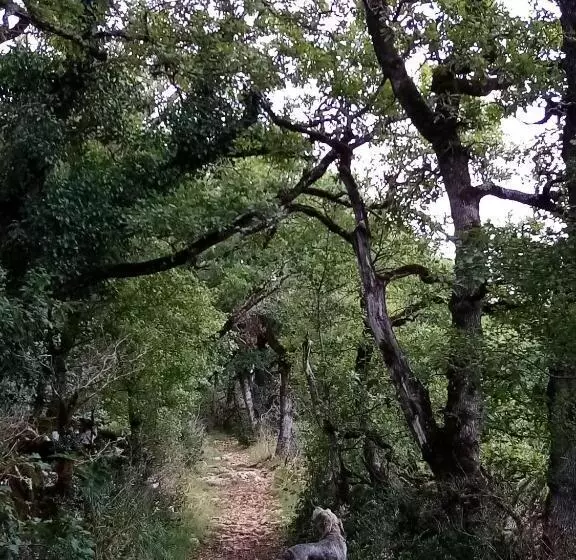 تختخواب و صبحانه Natura Zome