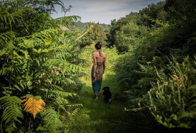 膳宿费 L Herbe Haute