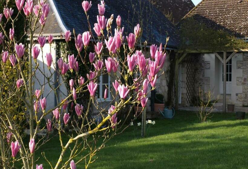 بنسيون Le Petit Villandry