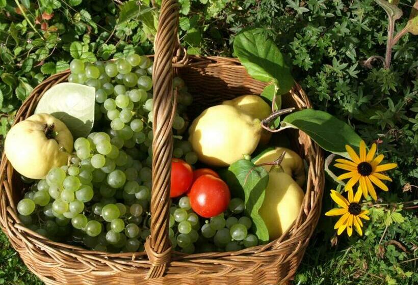 بنسيون Le Petit Villandry