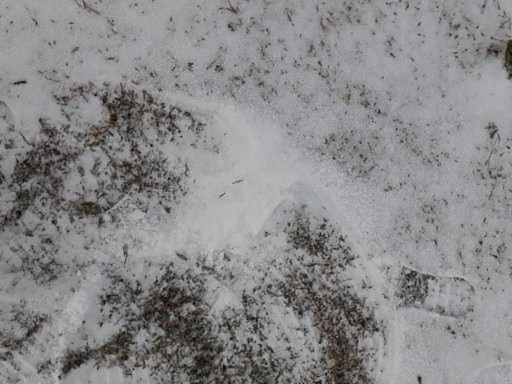 פנסיון Pousada Chales Aconchego Serrano