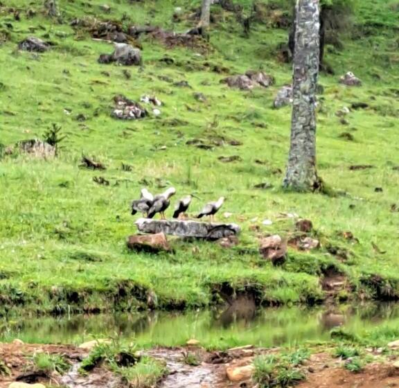 פנסיון Pousada Chales Aconchego Serrano