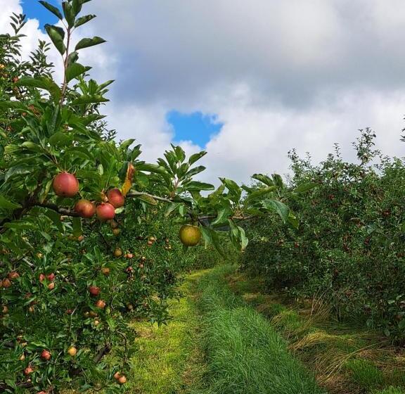 פנסיון Pousada Chales Aconchego Serrano