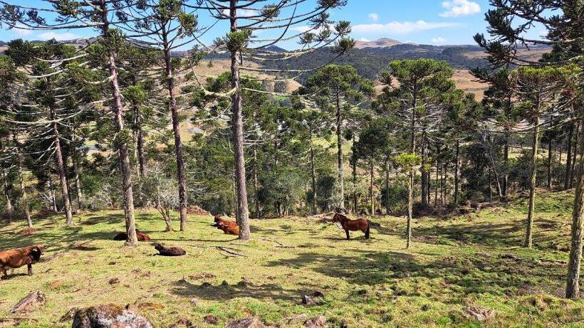 פנסיון Pousada Chales Aconchego Serrano