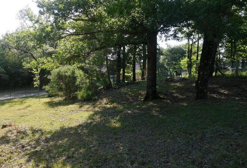 Пансион ô Vents D Anges Maison D Hôtes