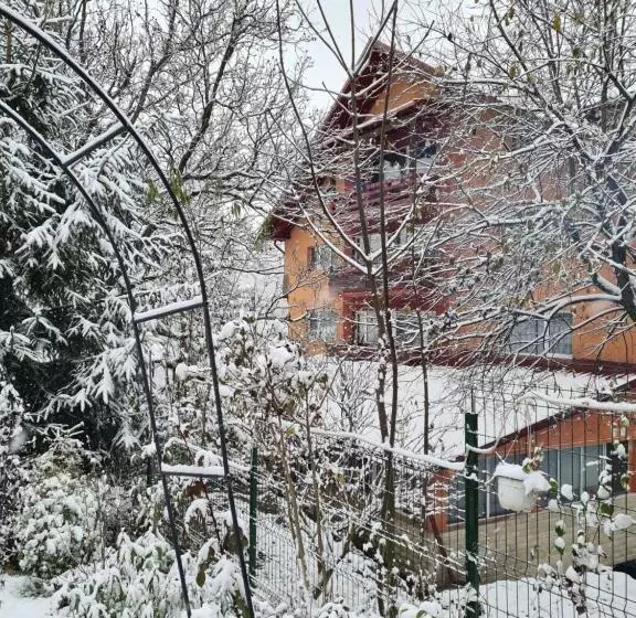 ペンション Vila Muntii Bucegi & Spa