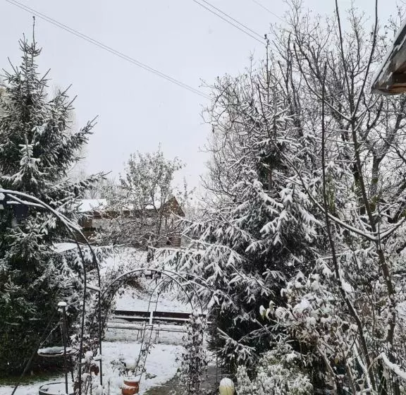 ペンション Vila Muntii Bucegi & Spa