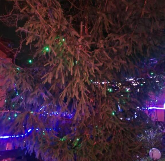 پانسیون Vila Muntii Bucegi & Spa