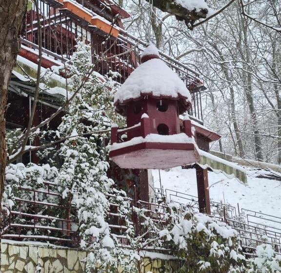 پانسیون Vila Muntii Bucegi & Spa