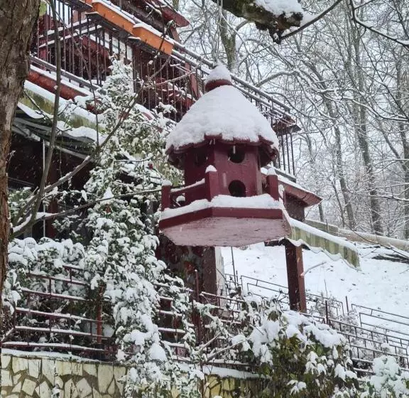 ペンション Vila Muntii Bucegi & Spa
