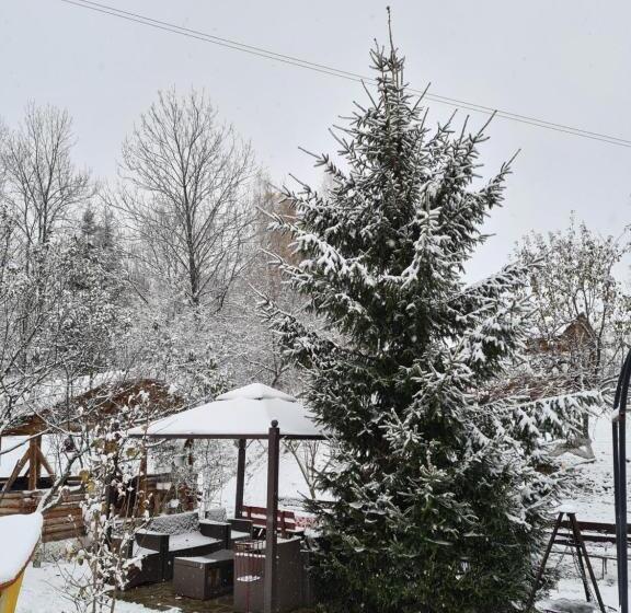 پانسیون Vila Muntii Bucegi & Spa