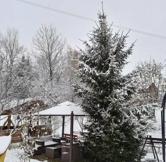 ペンション Vila Muntii Bucegi & Spa