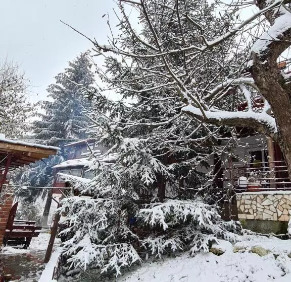 ペンション Vila Muntii Bucegi & Spa