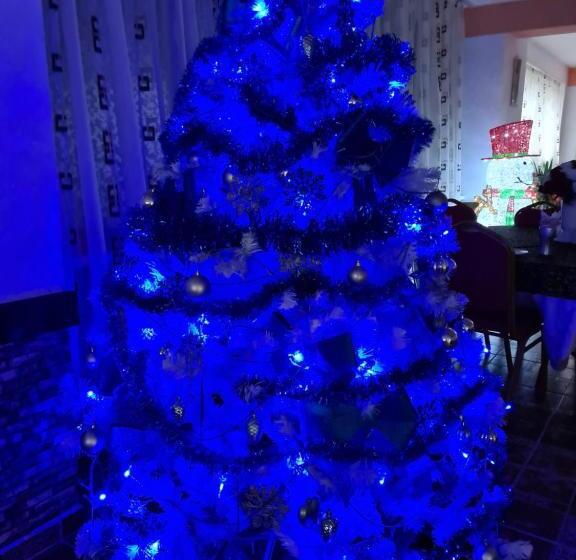 پانسیون Vila Muntii Bucegi & Spa