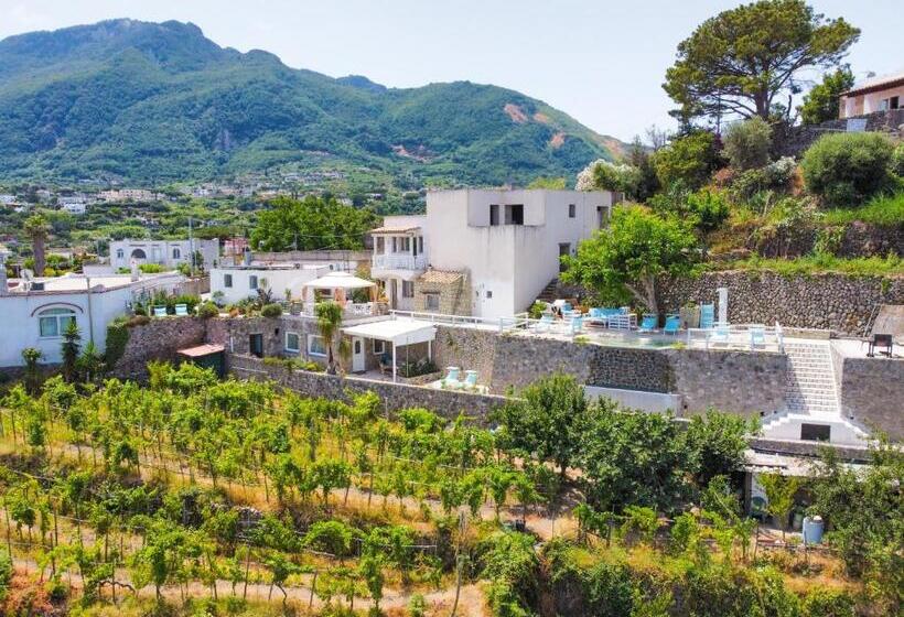 住宿加早餐 Belgodere Di Mezzavia Apartments